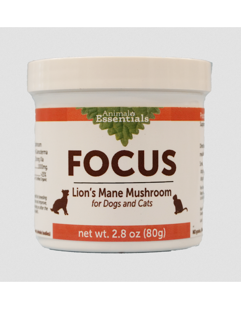 Animal Essentials Animal Essentials Supplements | FOCUS Lions Mane Mushroom Powder 80 g (2.8 oz)