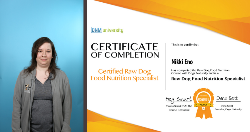 Nikki raw pet food specialist in Michigan