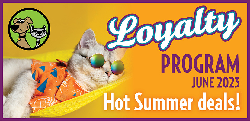 2023 June's Hot Summer Deals!