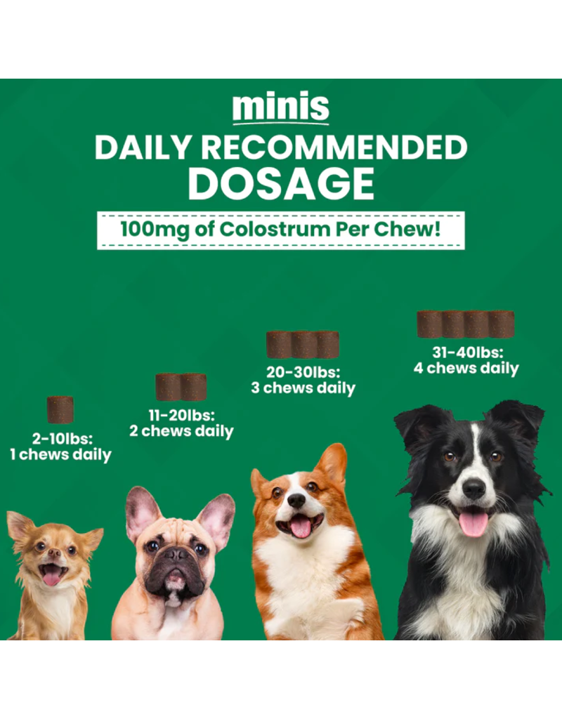 Nootie Nootie Progility Soft Chews | Allergy & Immune with Colostrum for Dogs 60 Chews Mini
