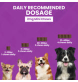 Nootie Nootie Progility Soft Chews | Calming Aid with Melatonin for Dogs 60 Chews Mini