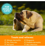 Nootie z Nootie Dermatology Solutions | Skin Treatment Medicated Pet Shampoo 8 oz
