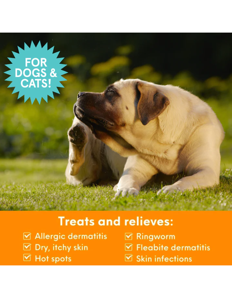 Nootie Nootie Dermatology Solutions | Skin Treatment Medicated Pet Shampoo 8 oz