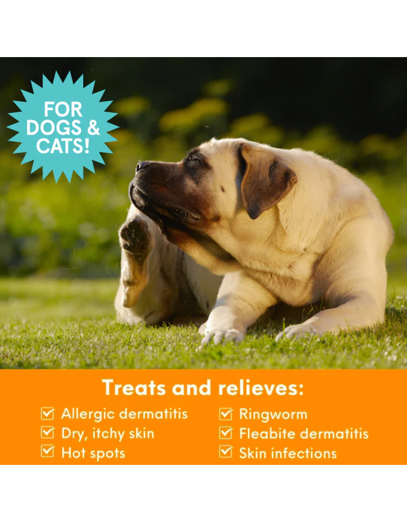 Nootie z Nootie Dermatology Solutions | Skin Treatment Medicated Pet Shampoo 8 oz