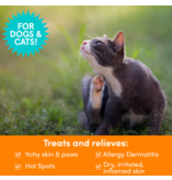 Nootie z Nootie Dermatology Solutions | Itch Relief Medicated Pet Shampoo 8 oz