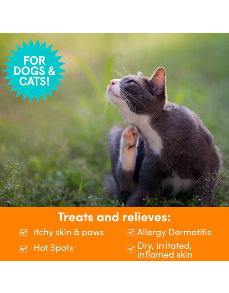 Nootie z Nootie Dermatology Solutions | Itch Relief Medicated Pet Shampoo 8 oz