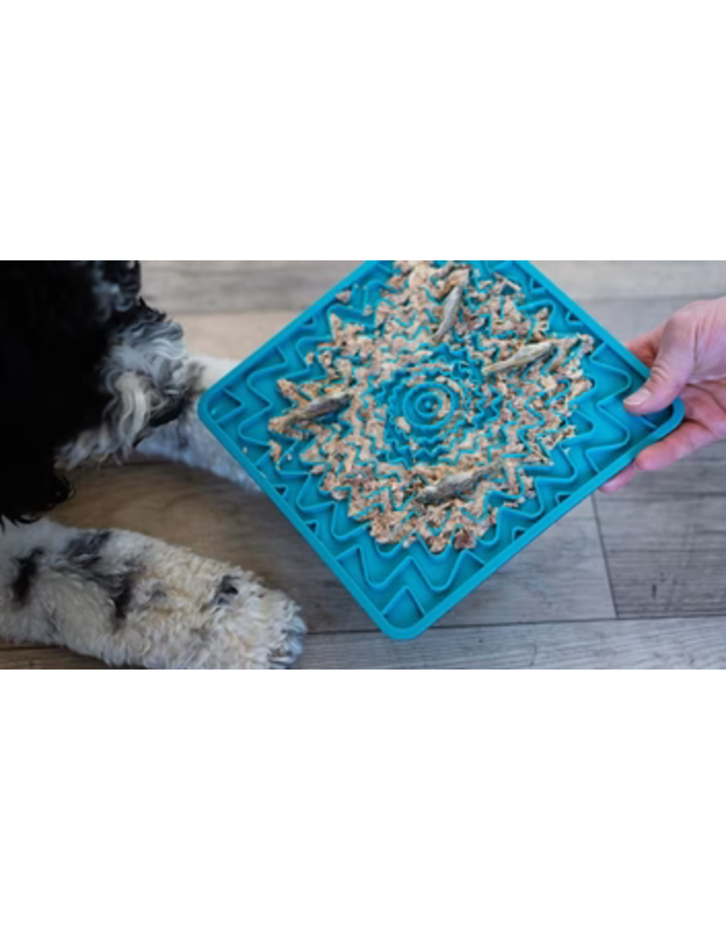Messy Mutts Messy Mutts Silicone Mat | Framed Interactive Lick Mat Blue