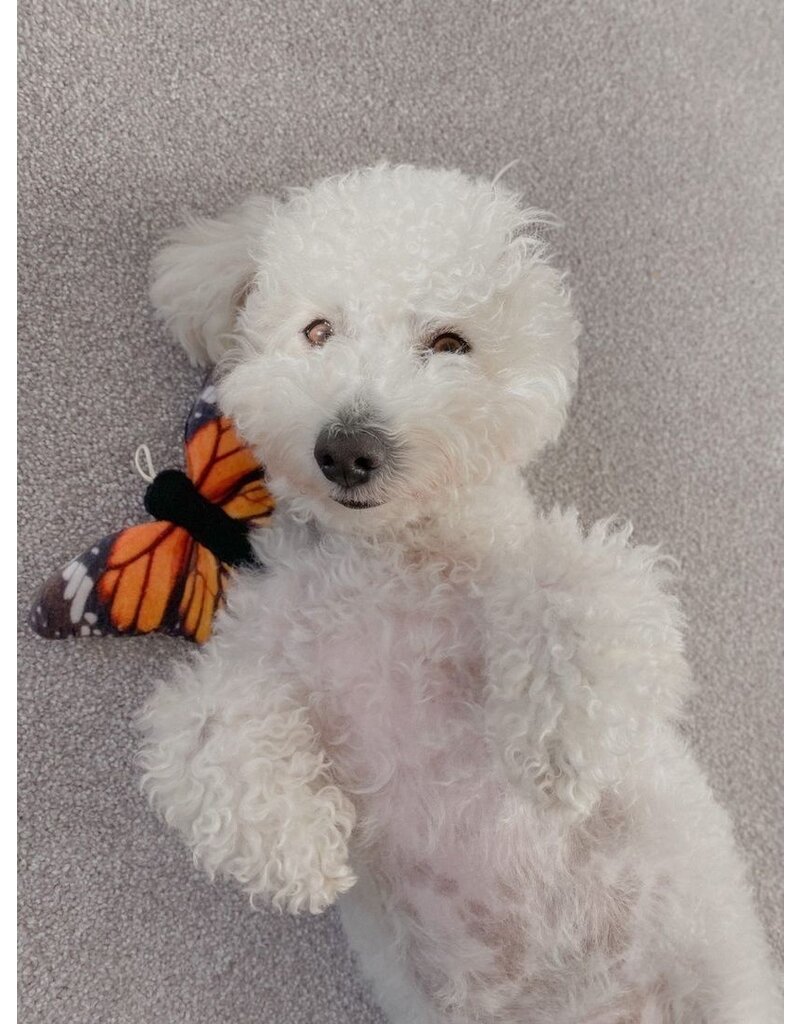 Tall Tails Tall Tails Dog Toys | Monarch Butterfly with Squeaker 6 in