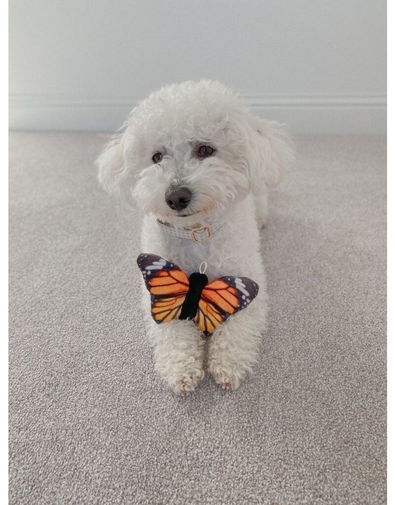 Tall Tails Tall Tails Dog Toys | Monarch Butterfly with Squeaker 6 in