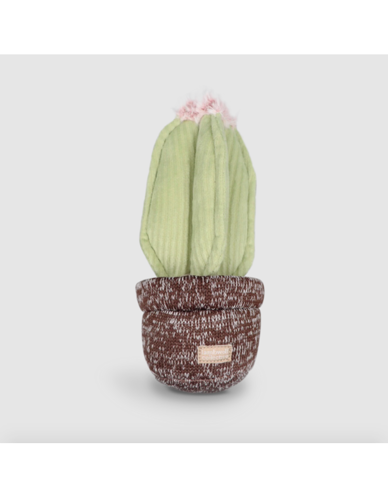 Lambwolf Collective Lambwolf Collective Interactive Toys | Potted Cactus