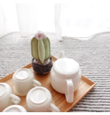 Lambwolf Collective Lambwolf Collective Interactive Toys | Potted Cactus
