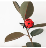 Lambwolf Collective Lambwolf Collective Interactive Toys | Ladybug Pop