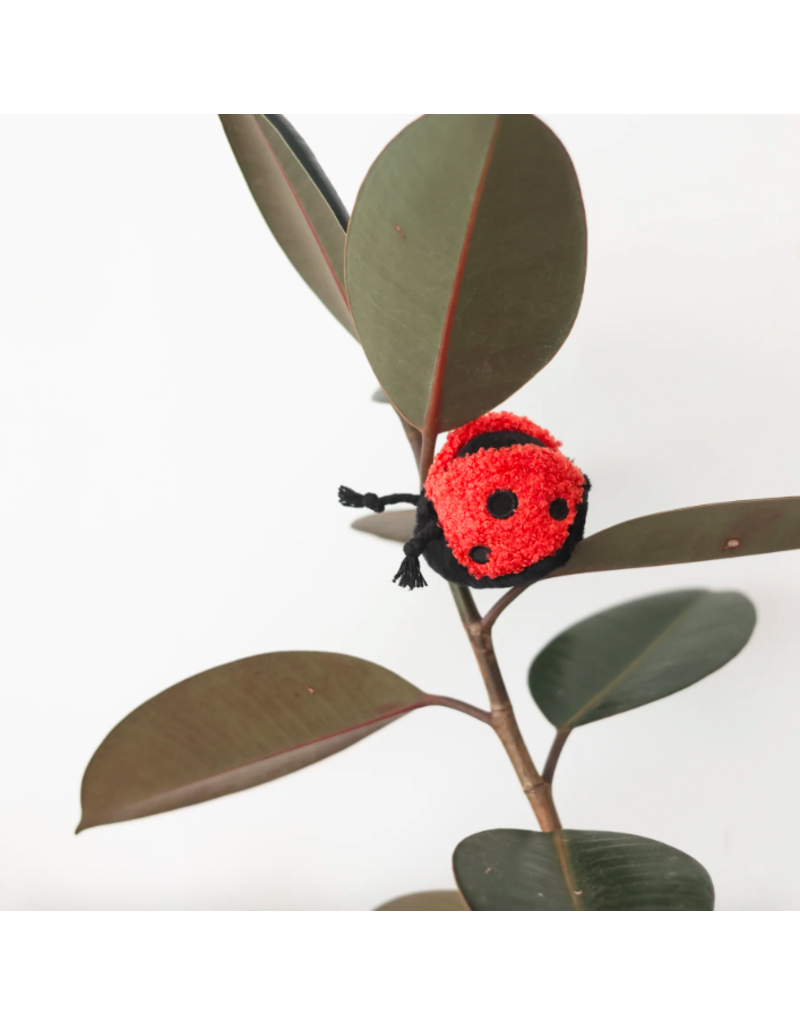 Lambwolf Collective Lambwolf Collective Interactive Toys | Ladybug Pop