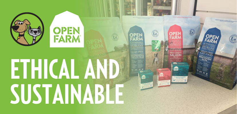 Open Farm: Where Nutrition Meets Ethical Excellence! - The Pet Beastro