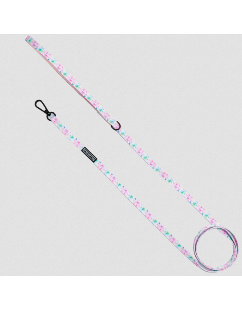 Little Kitty Co. Little Kitty Co. Cat Leash | 1/2" Cotton Candy 5'