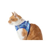 Little Kitty Co. Little Kitty Co. Cat Harness | Blue Snakeskin Extra Small (XS)