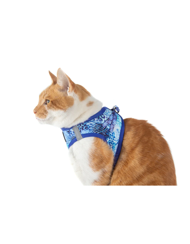Little Kitty Co. Little Kitty Co. Cat Harness | Blue Snakeskin Extra Small (XS)