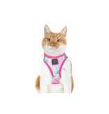 Little Kitty Co. Little Kitty Co. Cat Harness | Cotton Candy Small