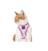 Little Kitty Co. Little Kitty Co. Cat Harness | Cotton Candy Medium