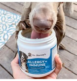 Dr. Harvey's Dr. Harvey's Dog Supplements | Allergy + Immune Soft Chews 90 ct