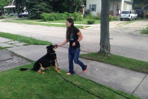 Teaching Your Dog Invisible Boundaries