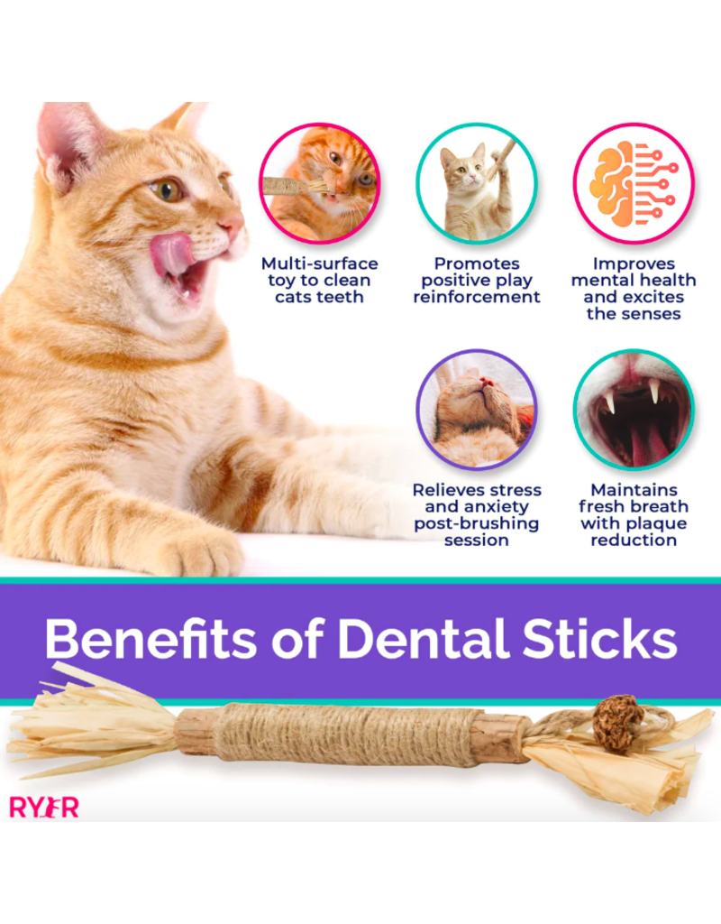 Ryercat Ryercat Dental Treat | Silvervine Dental Stick for Cats 5 pack