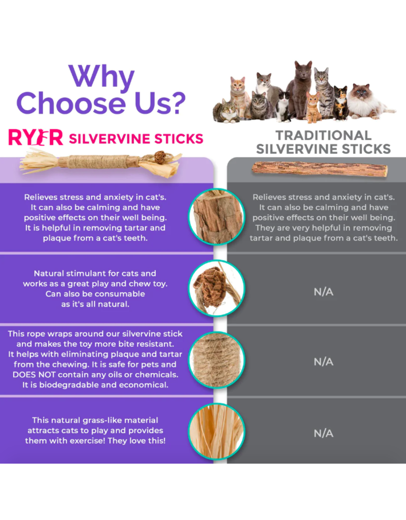 Ryercat Ryercat Dental Treat | Silvervine Dental Stick for Cats 5 pack