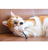PLAY P.L.A.Y. Feline Frenzy Halloween Cat Toys | Menacing Mice