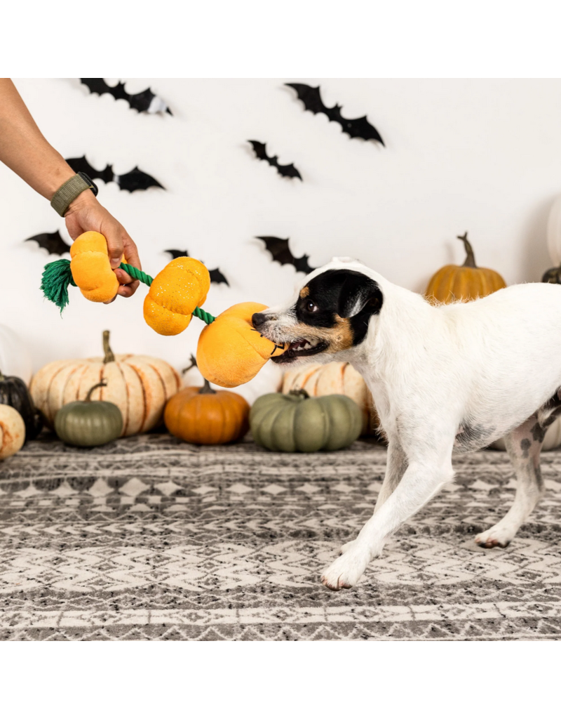 Pet Shop Pet Shop Fringe Studio Halloween Plush Dog Toy | Stack-O-Lantern