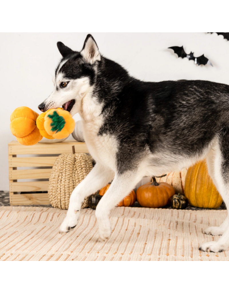 Pet Shop Pet Shop Fringe Studio Halloween Plush Dog Toy | Stack-O-Lantern