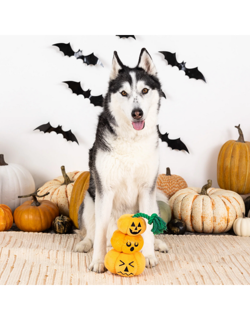 Pet Shop Pet Shop Fringe Studio Halloween Plush Dog Toy | Stack-O-Lantern