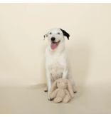 Pet Shop Pet Shop Fringe Studio Plush Dog Toy | Bunny Love