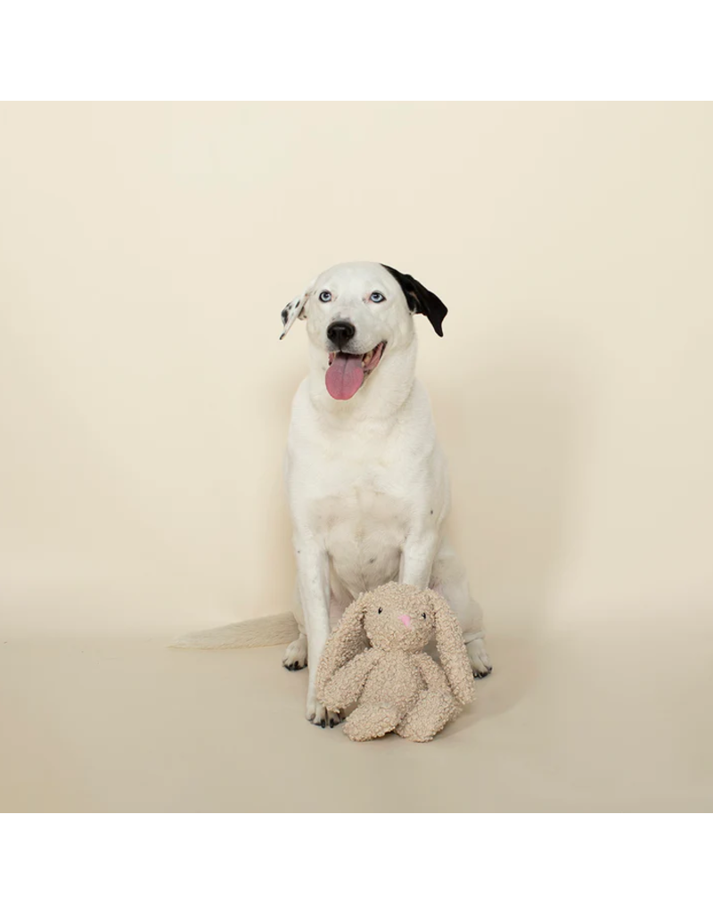 Pet Shop Pet Shop Fringe Studio Plush Dog Toy | Bunny Love