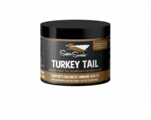 Turkey tail mushroom for dogs hemangiosarcoma top