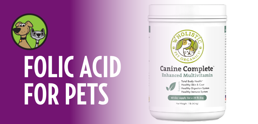 Folic Acid for Pets