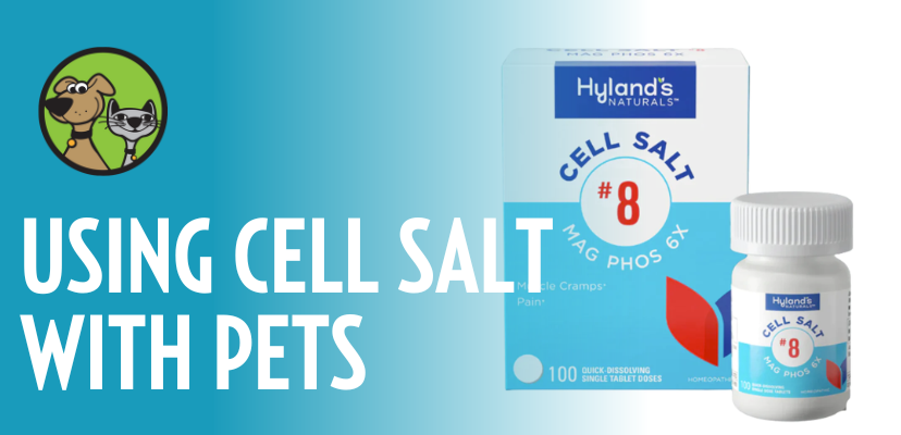 Using Cell Salts with Pets