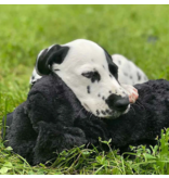 Snuggle Puppy Snuggle Puppy | Heartbeat Puppy Black & White
