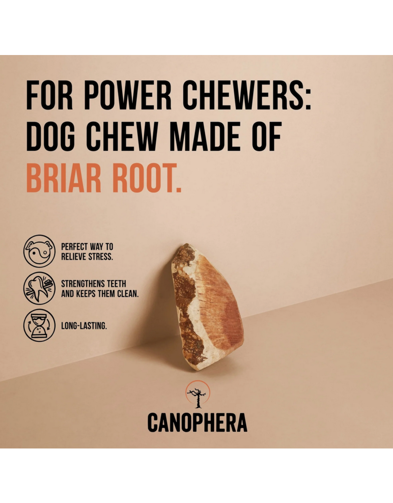 Canophera Canophera Dog Chews | Briar Wood Root Chew Extra Large (XL)