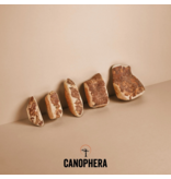 Canophera Canophera Dog Chews | Briar Wood Root Chew Medium
