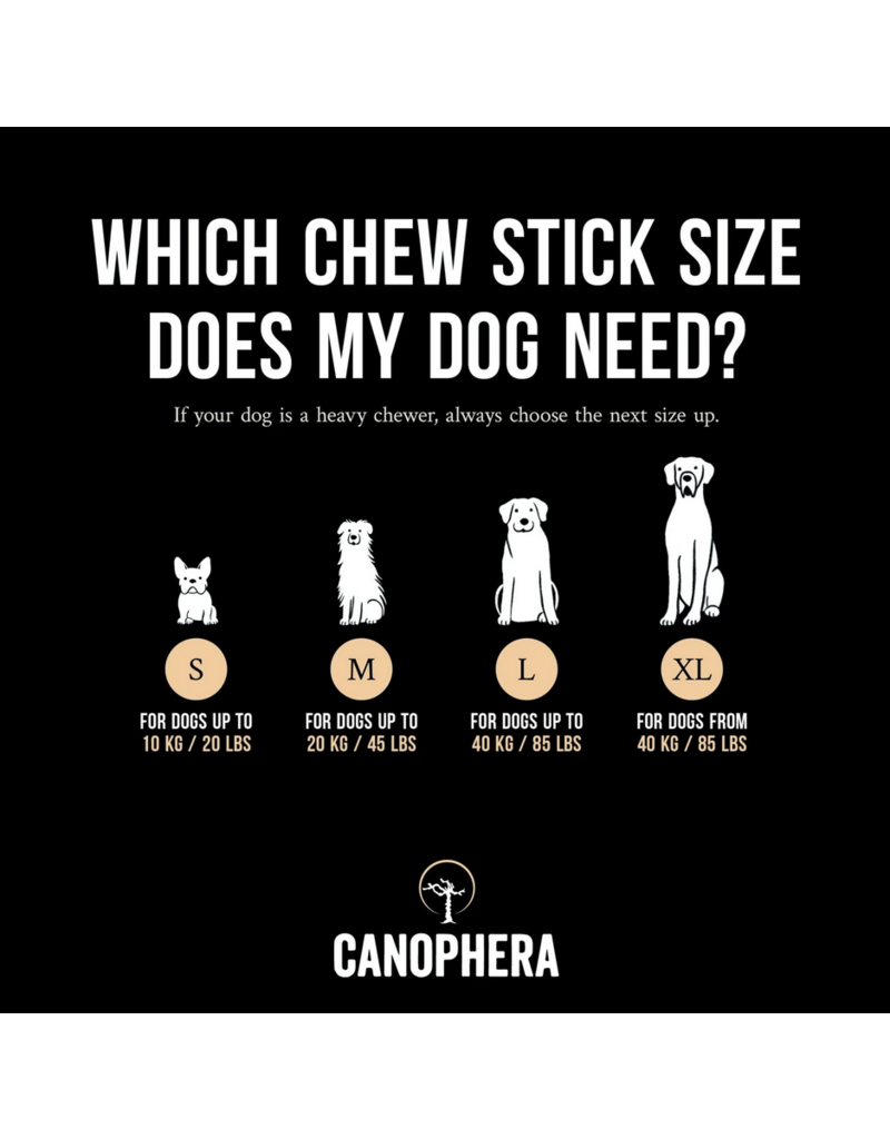 Canophera Canophera Dog Chews | Coffee Wood & Coconut Rope Chew Extra Large (XL)
