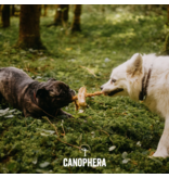 Canophera Canophera Dog Chews | Coffee Wood & Coconut Rope Chew Extra Large (XL)