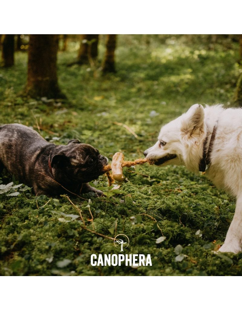 Canophera Canophera Dog Chews | Coffee Wood & Coconut Rope Chew Medium