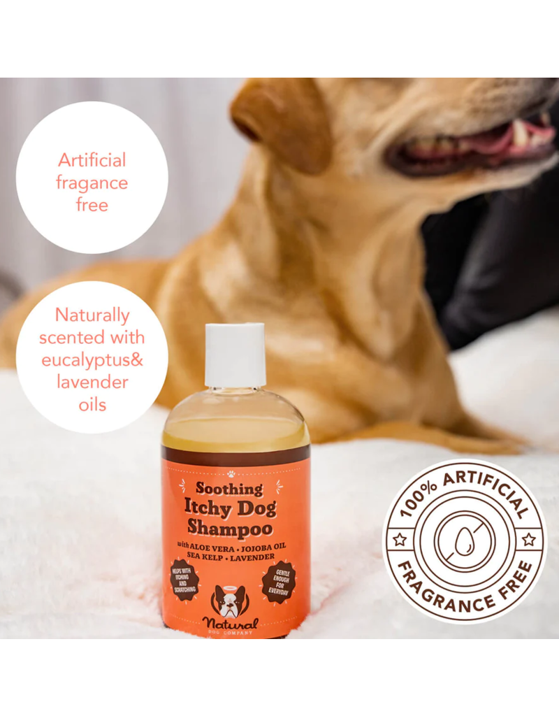 Natural Dog Company Natural Dog Company Shampoo | Itchy Dog Unscented 12 oz