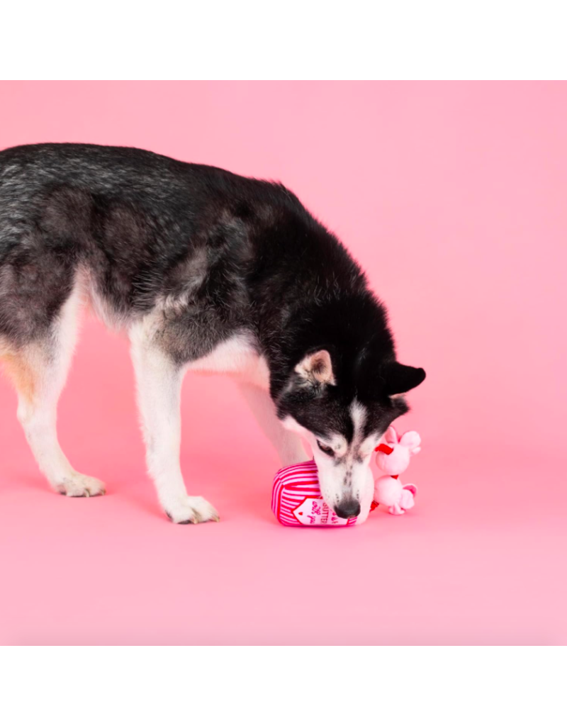 PETSHOP SORE TODAY, STRONG TOMORROW DOG TOYS – PetShop.fringestudio