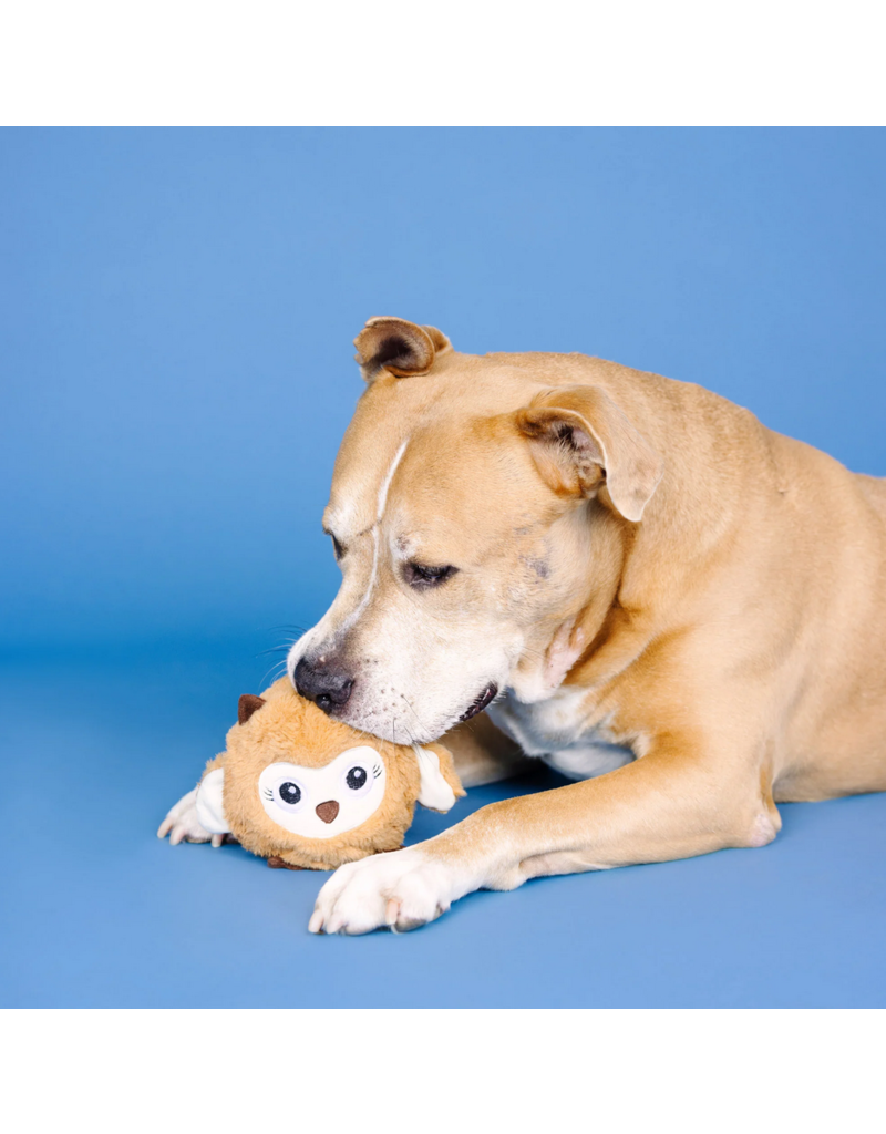 PETSHOP SORE TODAY, STRONG TOMORROW DOG TOYS – PetShop.fringestudio