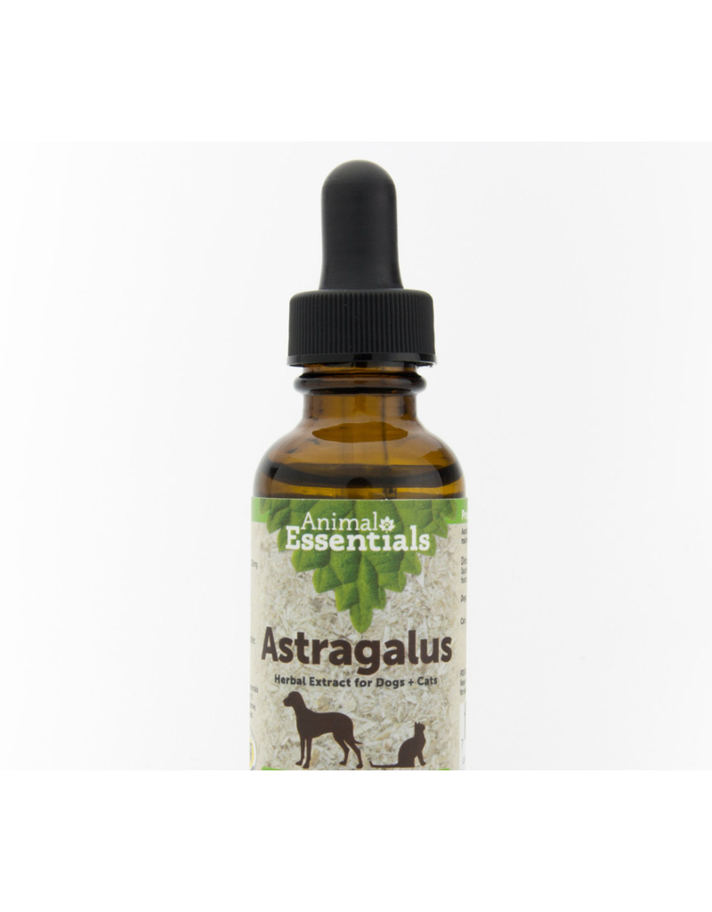 Animal Essentials Animal Essentials Supplements | Astragalus 2 oz