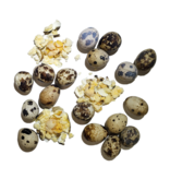 Savage Cat z Savage Cat Freeze Dried Pet Treats | Whole Quail Eggs 2.75 oz