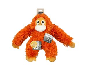 P.orangutan OC 子株付き P.orangutan OC 子株付き
