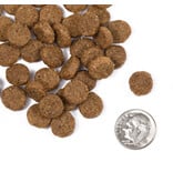 Fromm Fromm Classic Dog Kibble | Adult 30 lb