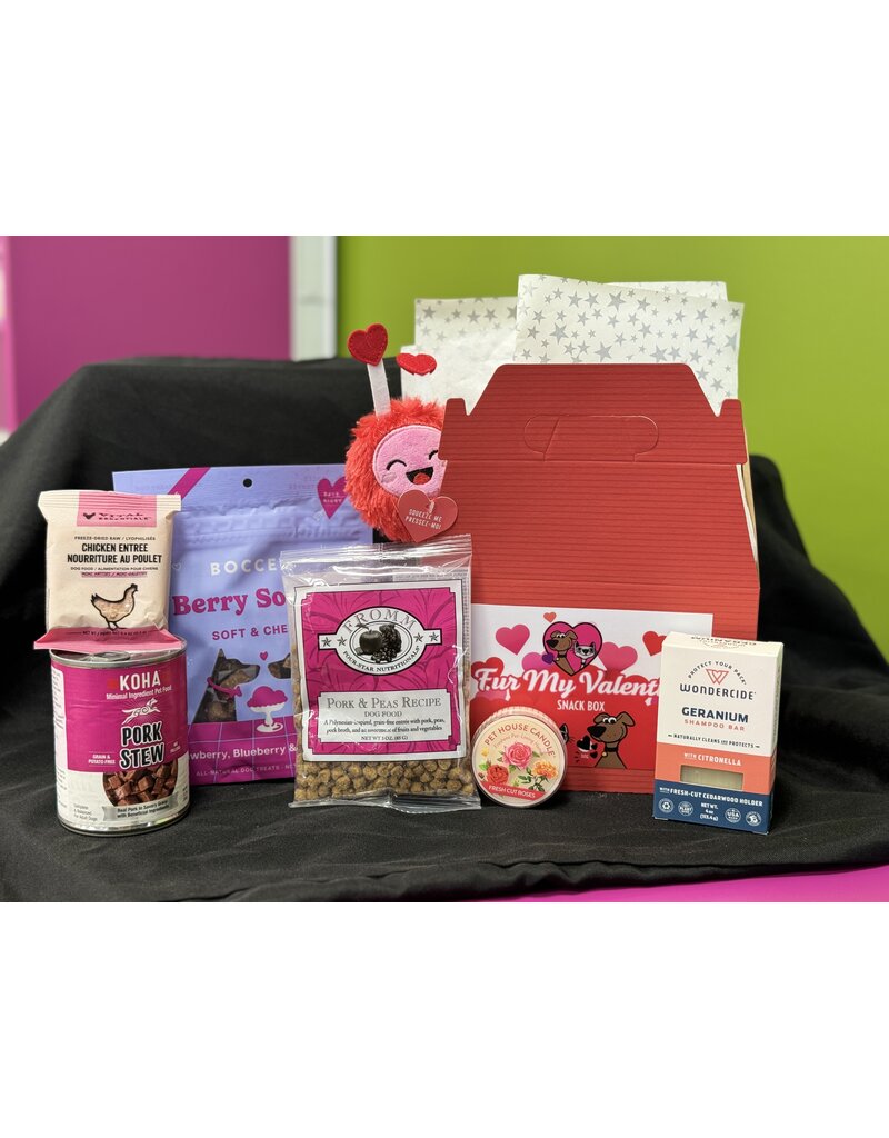 The Pet Beastro 2024 Valentine | Holiday Dog Gift Box